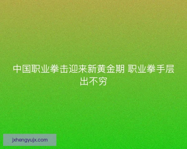 中国职业拳击迎来新黄金期 职业拳手层出不穷