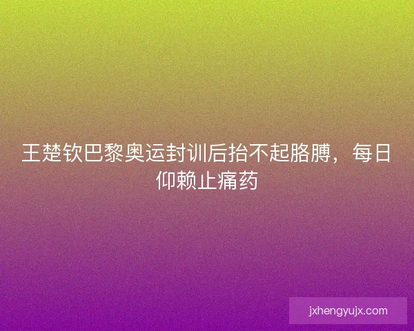 王楚钦巴黎奥运封训后抬不起胳膊，每日仰赖止痛药