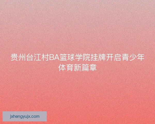 贵州台江村BA篮球学院挂牌开启青少年体育新篇章